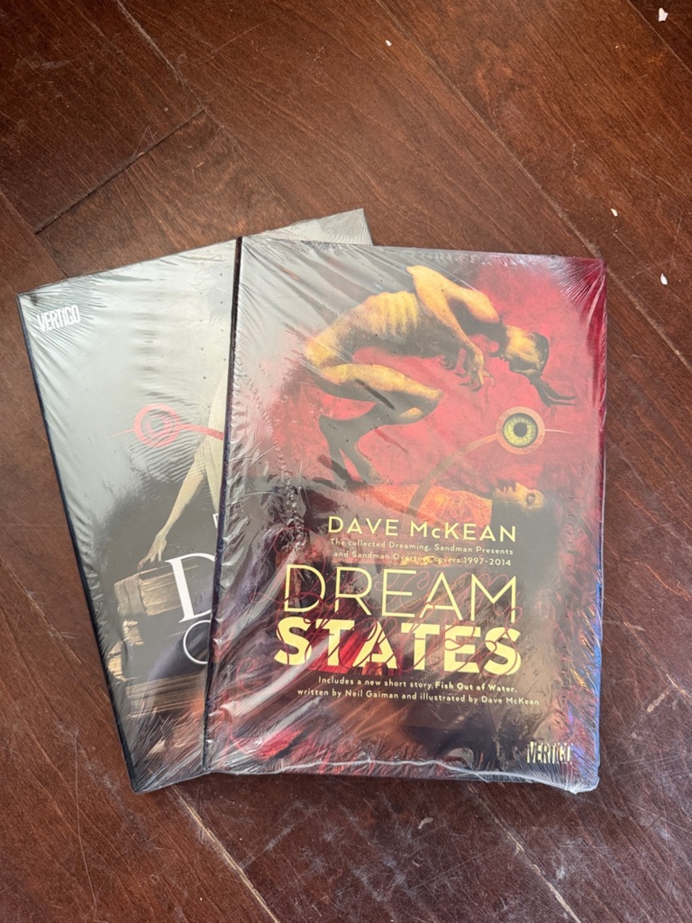 Lot of 2 Dave McKean "Dream States"  “Dust Cover” Hardcover Graphics Books
